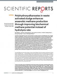 Polyhydroxyalkanoates in waste activated sludge