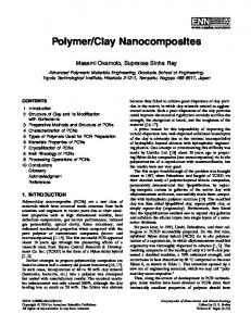 Polymer/Clay Nanocomposites