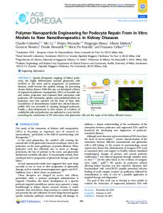 Polymer Nanoparticle Engineering for Podocyte ... - ACS Publications