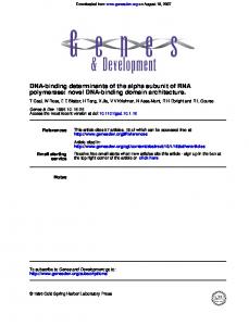 polymerase: novel DNA-binding domain architecture ...