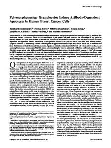 Polymorphonuclear Granulocytes Induce Antibody ... - CiteSeerX