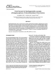 (Polyplacophora: Protochitonidae) from Korea - Animal Systematics