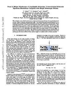 Pores in Bilayer Membranes of Amphiphilic Molecules: Coarse ...