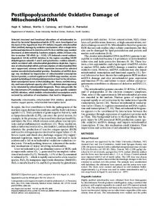 Postlipopolysaccharide Oxidative Damage of Mitochondrial DNA