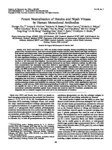 Potent Neutralization of Hendra and Nipah ... - Journal of Virology