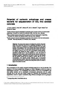 Potential of carbonic anhydrase and urease bacteria for sequestration