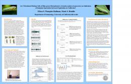 Powerpoint template for scientific posters (Swarthmore College)