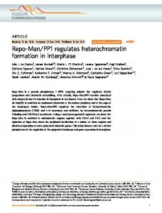 PP1 regulates heterochromatin