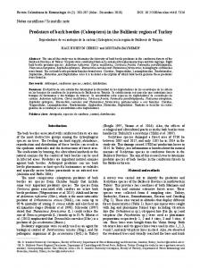 Predators of bark beetles (Coleoptera) in the Balikesir