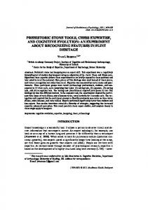 prehistoric stone tools, chess expertise, and cognitive evolution