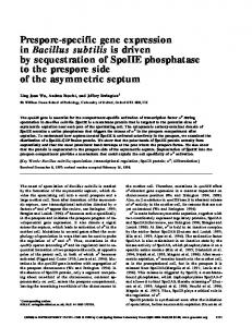 Prespore-specific gene expression in Bacillus subtilis is driven by ...