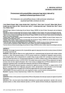 Pretreatment with pentoxifylline attenuates lung ... - Semantic Scholar