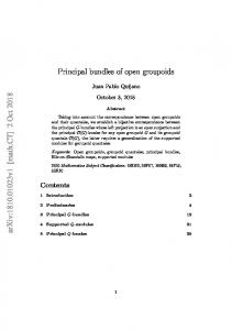 Principal bundles of open groupoids