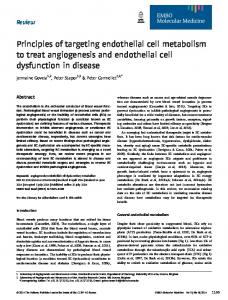 Principles of targeting endothelial cell ... - Wiley Online Library
