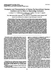 Production and Characterization of Guinea Pig Recombinant Gamma ...