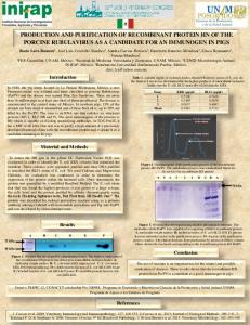 production and purification of recombinant protein hn ...