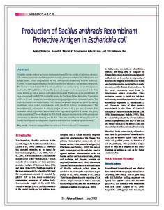 Production of Bacillus anthracis Recombinant ...