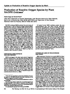 Production of Reactive Oxygen Species by Plant ... - Plant Physiology