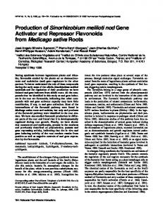 Production of Sinorhizobium meliloti nod Gene ... - APS Journals