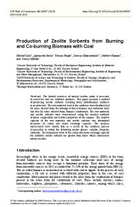 Production of Zeolite Sorbents from Burning and Co-burning Biomass