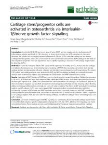 progenitor cells are activated in