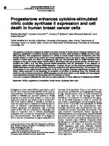 Progesterone enhances cytokine-stimulated nitric oxide ... - Nature