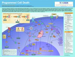 Programmed Cell Death