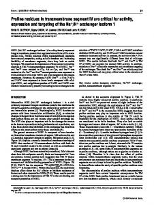 Proline residues in transmembrane segment IV are critical for activity ...