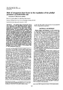 promoter of Escherichia coli