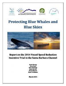 Protecting Blue Whales and Blue Skies