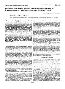 Protection from Tumor Necrosis Factor-mediated Cytolysis by ...