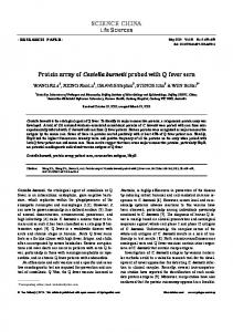 Protein array of Coxiella burnetii probed with Q fever sera