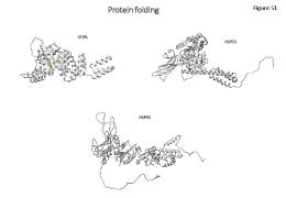 Protein folding - PLOS