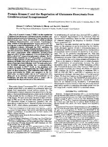 Protein Kinase C and the Regulation of Glutamate Exocytosis from ...