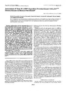 Protein Kinase in Human Fibroblasts - The Journal of Biological ...