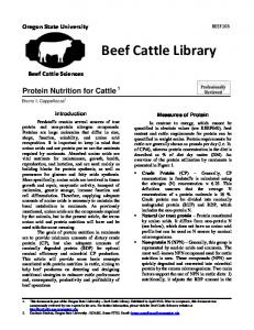 Protein Nutrition For Cattle - Oregon State University
