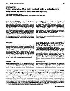 Protein phosphatase 2A