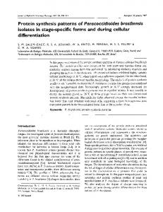 Protein synthesis patterns of Paracoccidioides brasiliensis isolates in ...