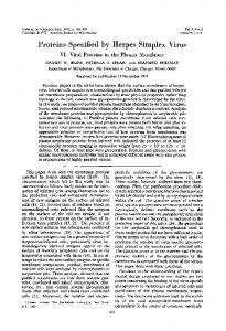 Proteins Specified by Herpes Simplex Virus - Journal of Virology