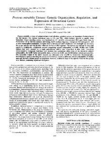 Proteus mirabilis Urease: Genetic Organization, Regulation ... - NCBI