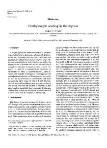 Prothymocyte seeding in the thymus - Science Direct