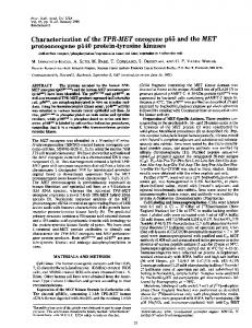 protooncogene p140 protein-tyrosine kinases