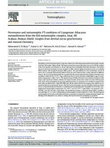 Provenance and metamorphic PT conditions of Cryogenian ...