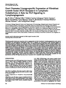 Prox1 Promotes Lineage-specific Expression of Fibroblast Growth Factor