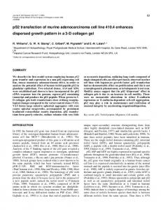 pS2 transfection of murine adenocarcinoma cell line 410.4 ... - Core