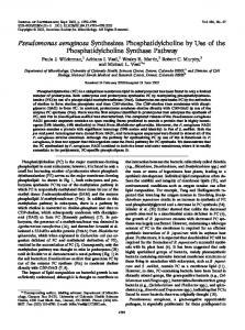 Pseudomonas aeruginosa Synthesizes Phosphatidylcholine by Use of ...