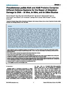 Pseudomonas putida AlkA and AlkB Proteins ... - ScienceOpen