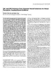 Psychophysical Evidence