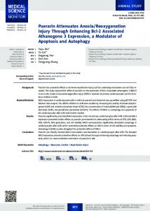 Puerarin Attenuates Anoxia/Reoxygenation Injury ... - Semantic Scholar