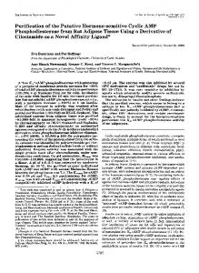 Purification of the Putative Hormone-sensitive Cyclic AMP ...